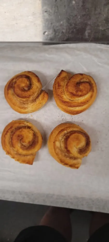 Schnecken